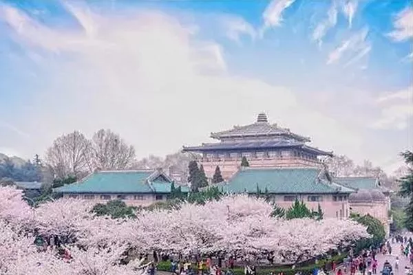 觀賞武漢大學櫻花的最佳時間是在幾月份 三月份最合適不過了
